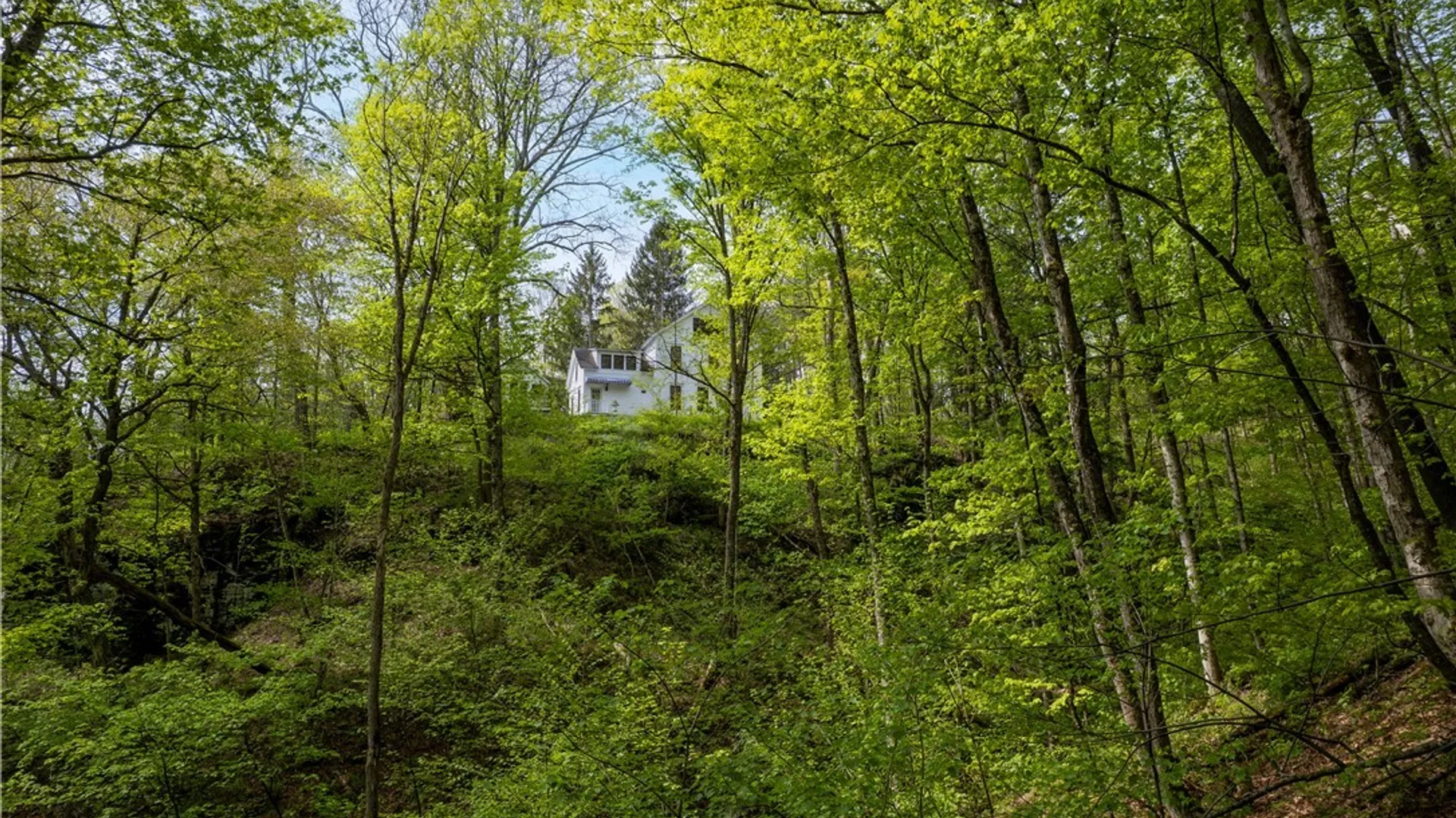 Property at 11193 Huey Road, Brookfield, NY 13364 8