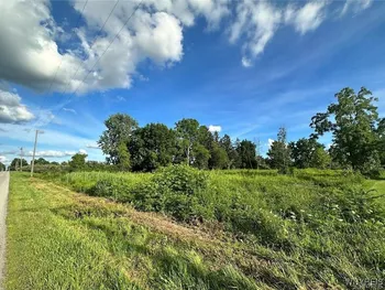 Property at 8976 Telegraph Road, Royalton, NY 14067