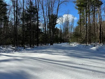 Property at Stone Hill Rd, Williamstown, NY 13493