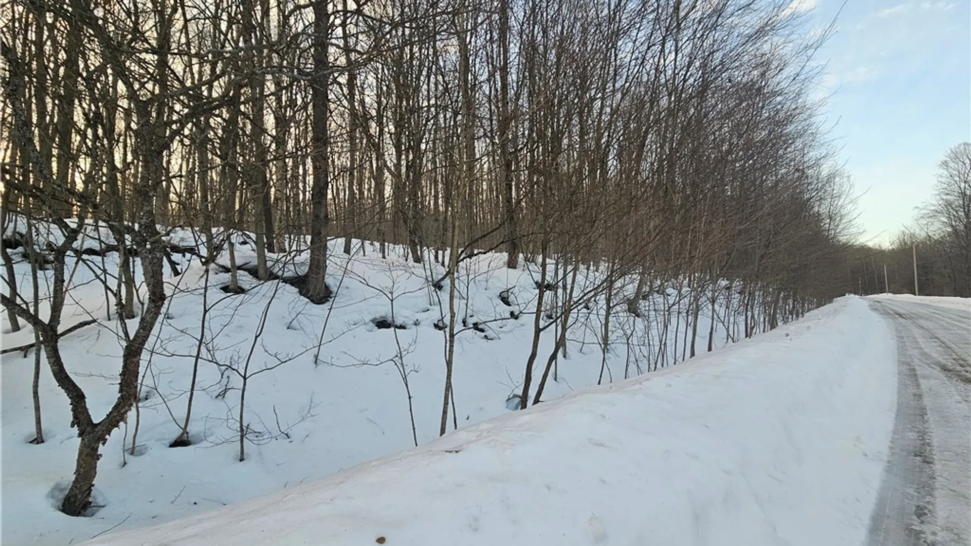 Property at Dublin Terrace Road, Mansfield, NY 14779 5
