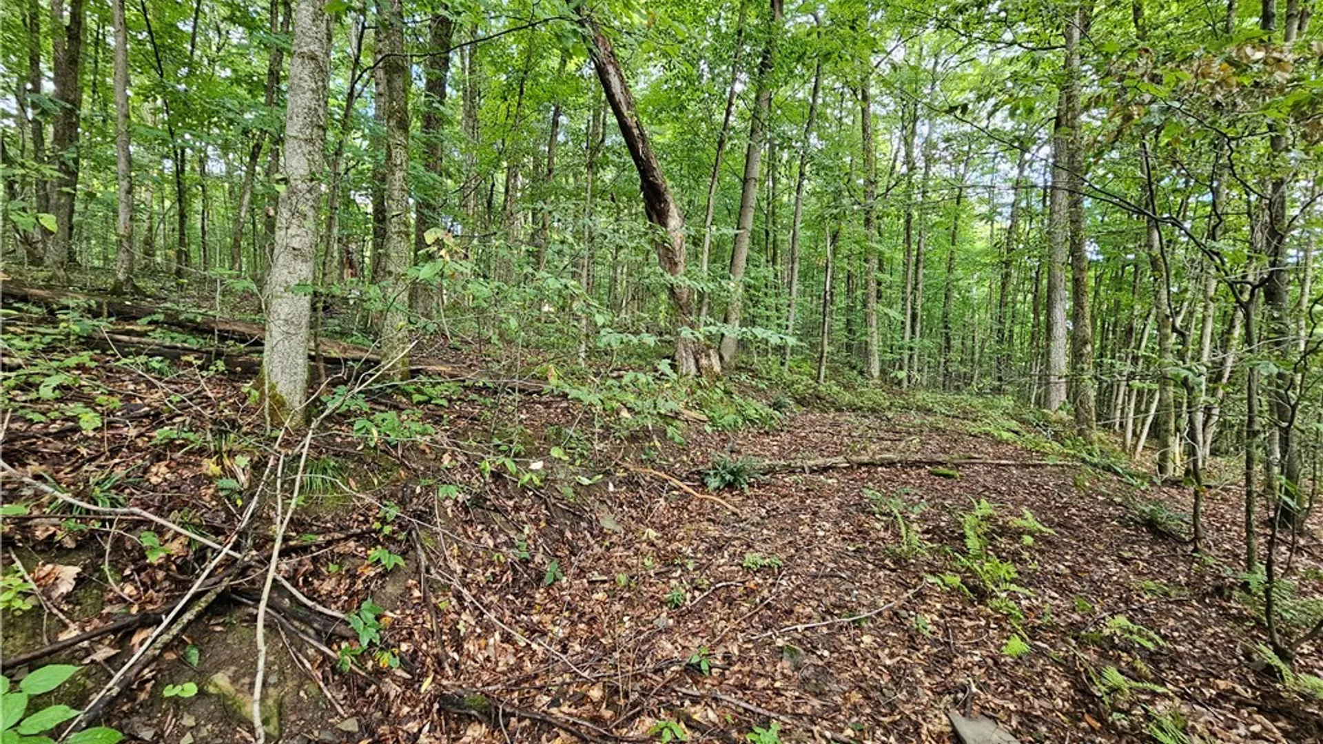 Property at Dublin Terrace Road, Mansfield, NY 14779 7
