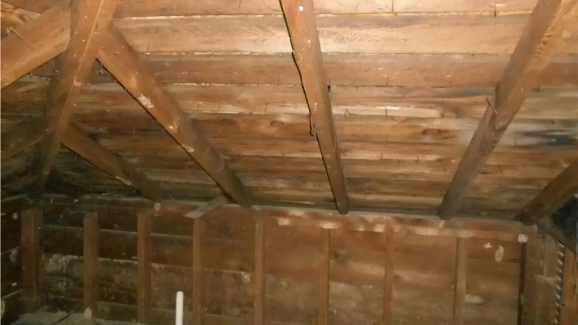 Property at 4986 Route 219, Great Valley, NY 14741 10