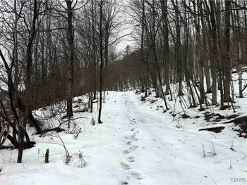 Property at Cr-34, Wirt, NY 14739