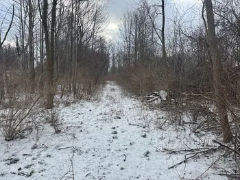 Property at 2212 ( adjacent ) Brace Road, East Bloomfield, NY 14424