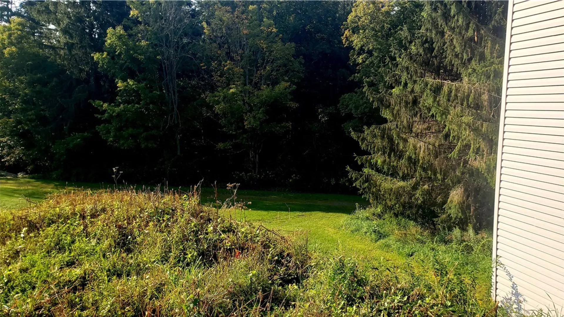 Property at 7 1/2 Railroad Avenue, Stamford, NY 12167 12