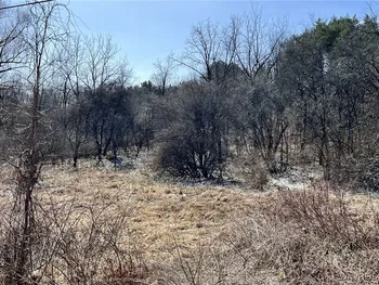 Property at 0 Seneca Lot 2 Road, Hector, NY 14886