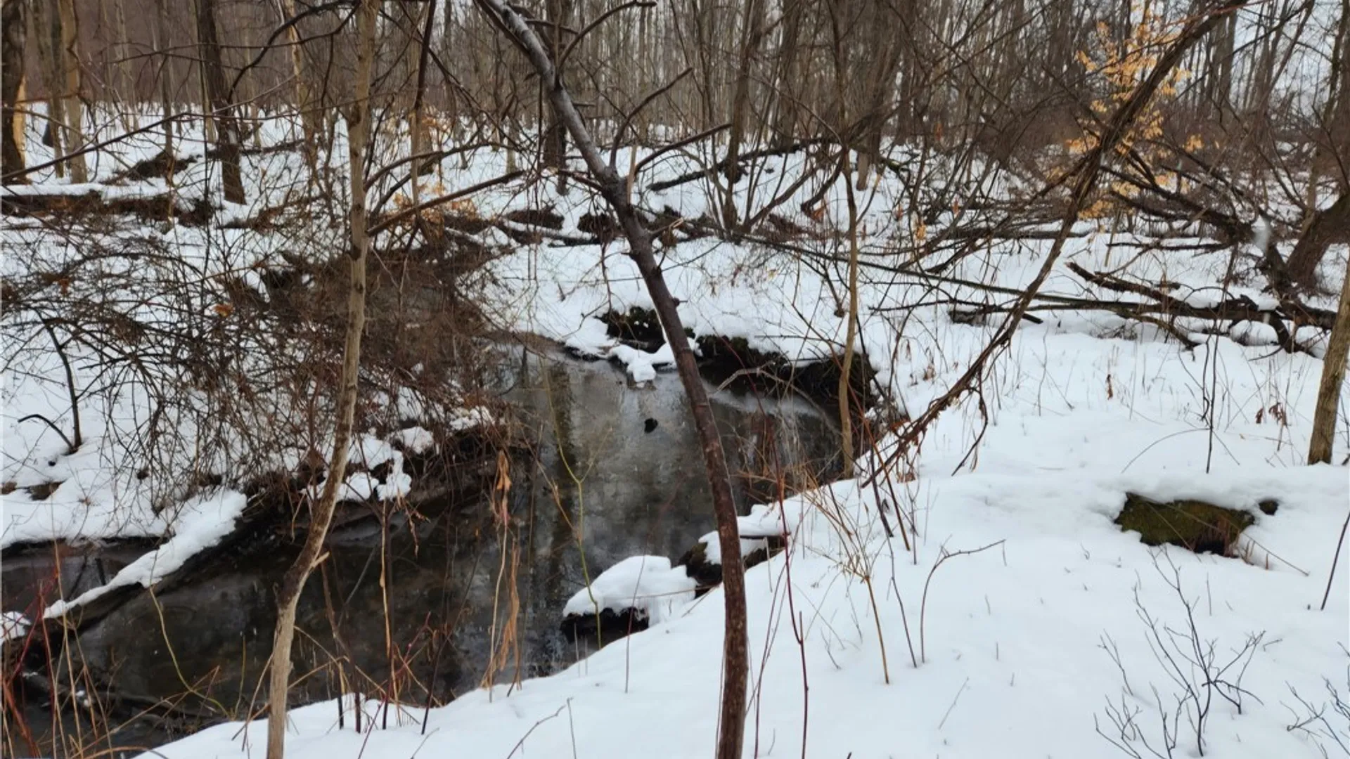 Property at 47 Cemetery Drive, Hannibal, NY 13074 20