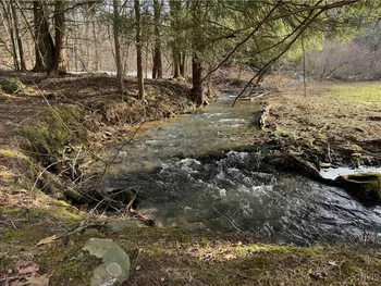 Property at Wolf Creek Road, Clarksville, NY 14727