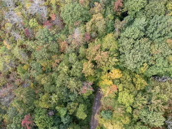 Property at 0 Chief Canesque Lane, Springwater, NY 14560