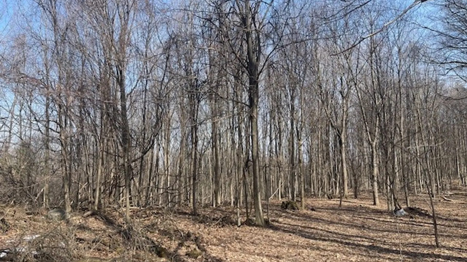 Property at Harris Road, Onondaga, NY 13031 10