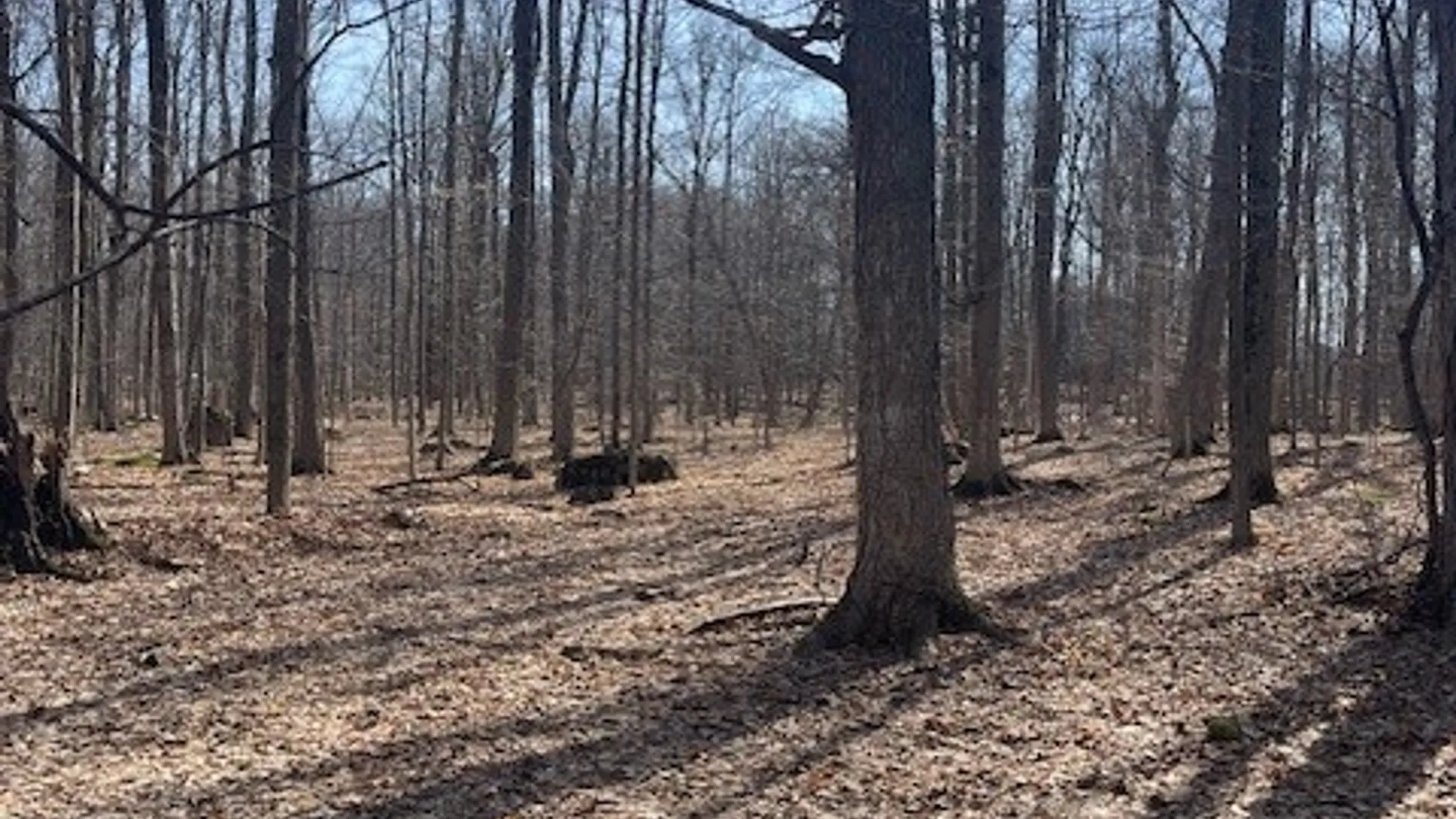 Property at Harris Road, Onondaga, NY 13031 12