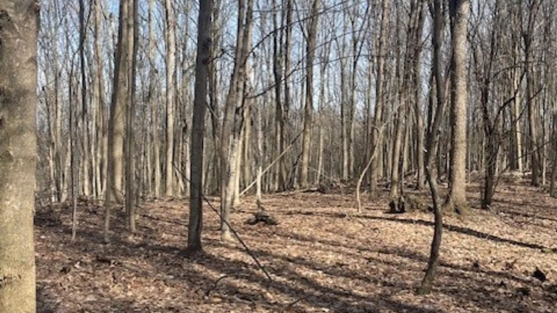 Property at Harris Road, Onondaga, NY 13031 3