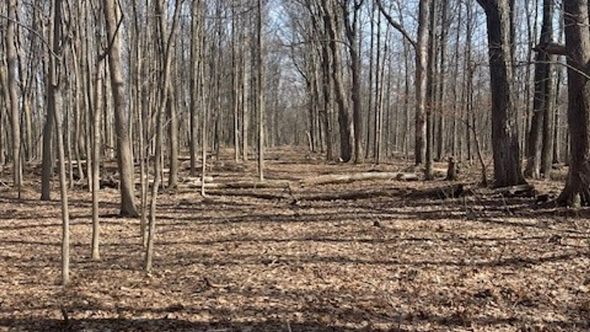 Property at Harris Road, Onondaga, NY 13031 5