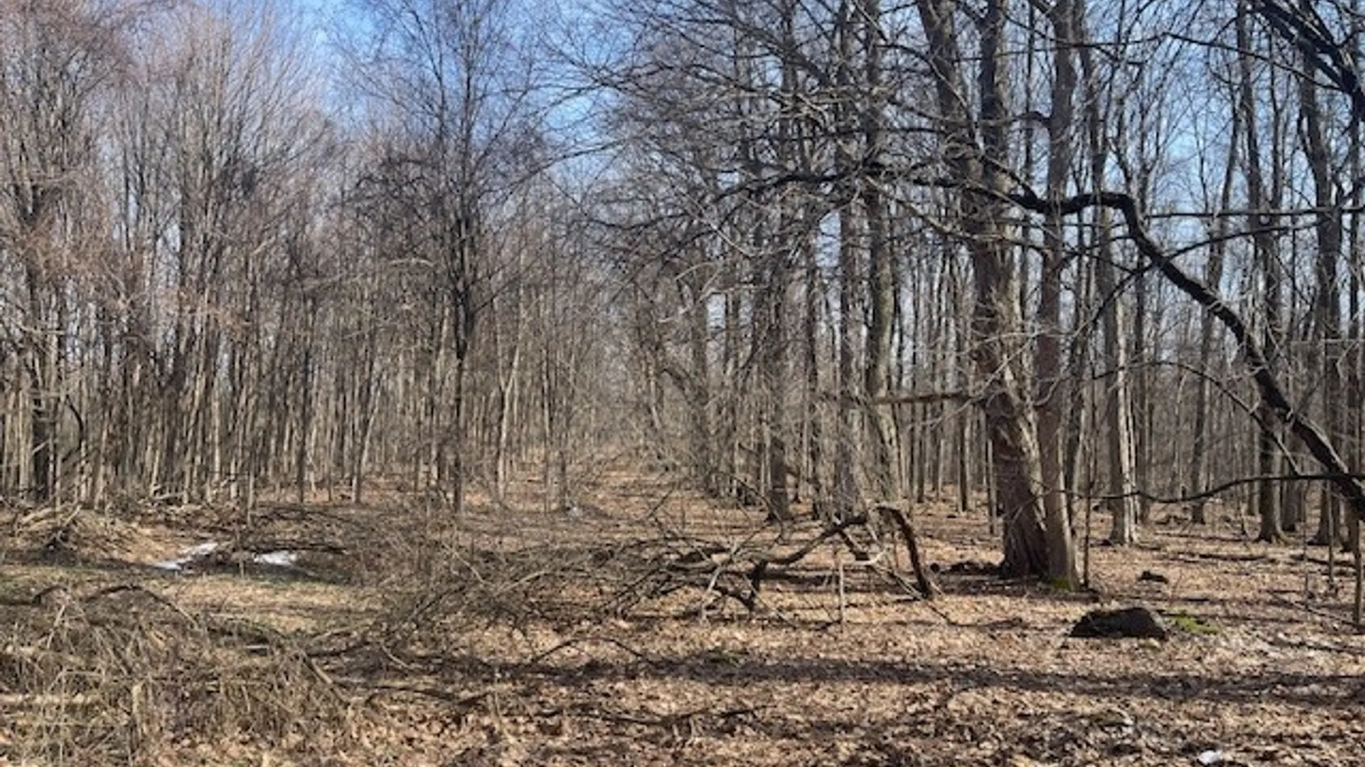 Property at Harris Road, Onondaga, NY 13031 6