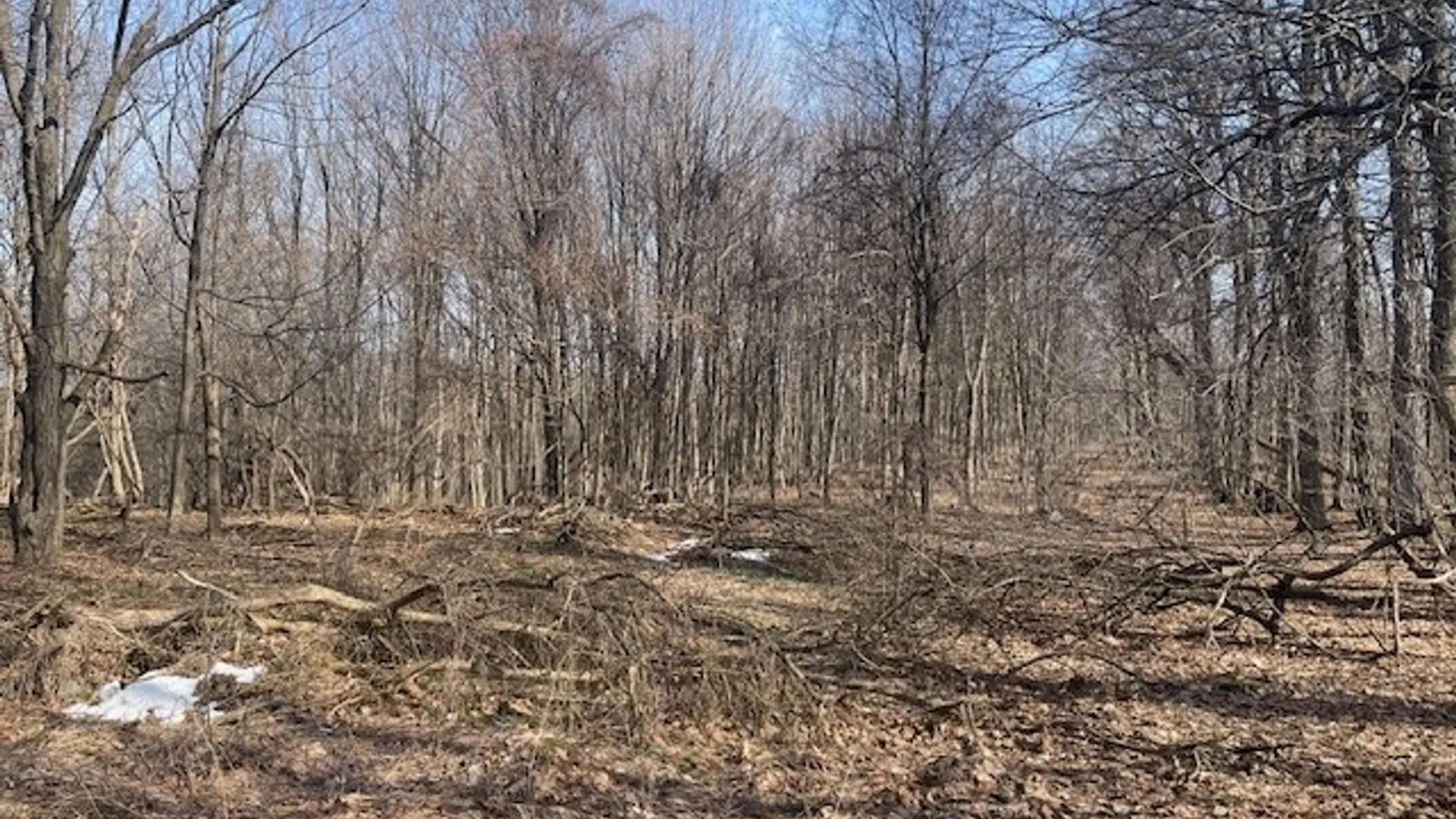 Property at Harris Road, Onondaga, NY 13031 7