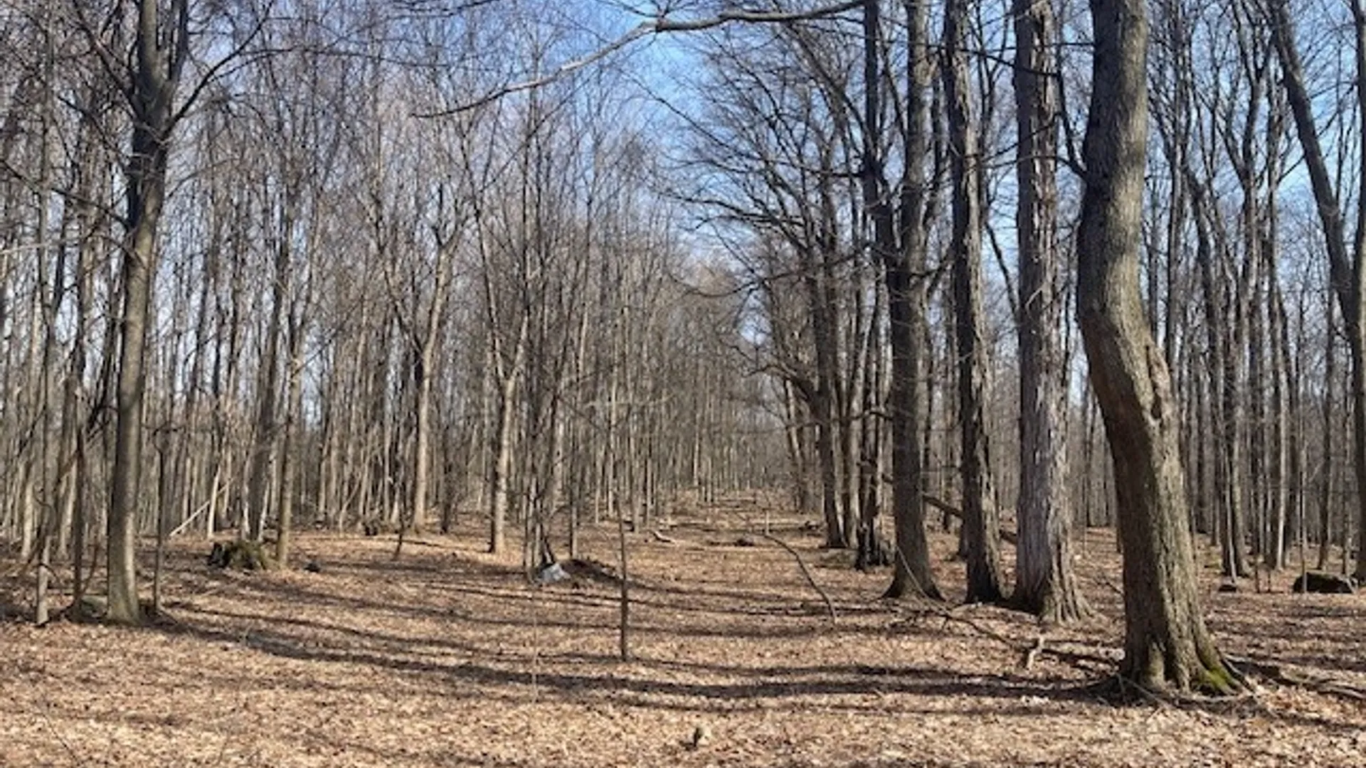 Property at Harris Road, Onondaga, NY 13031 8