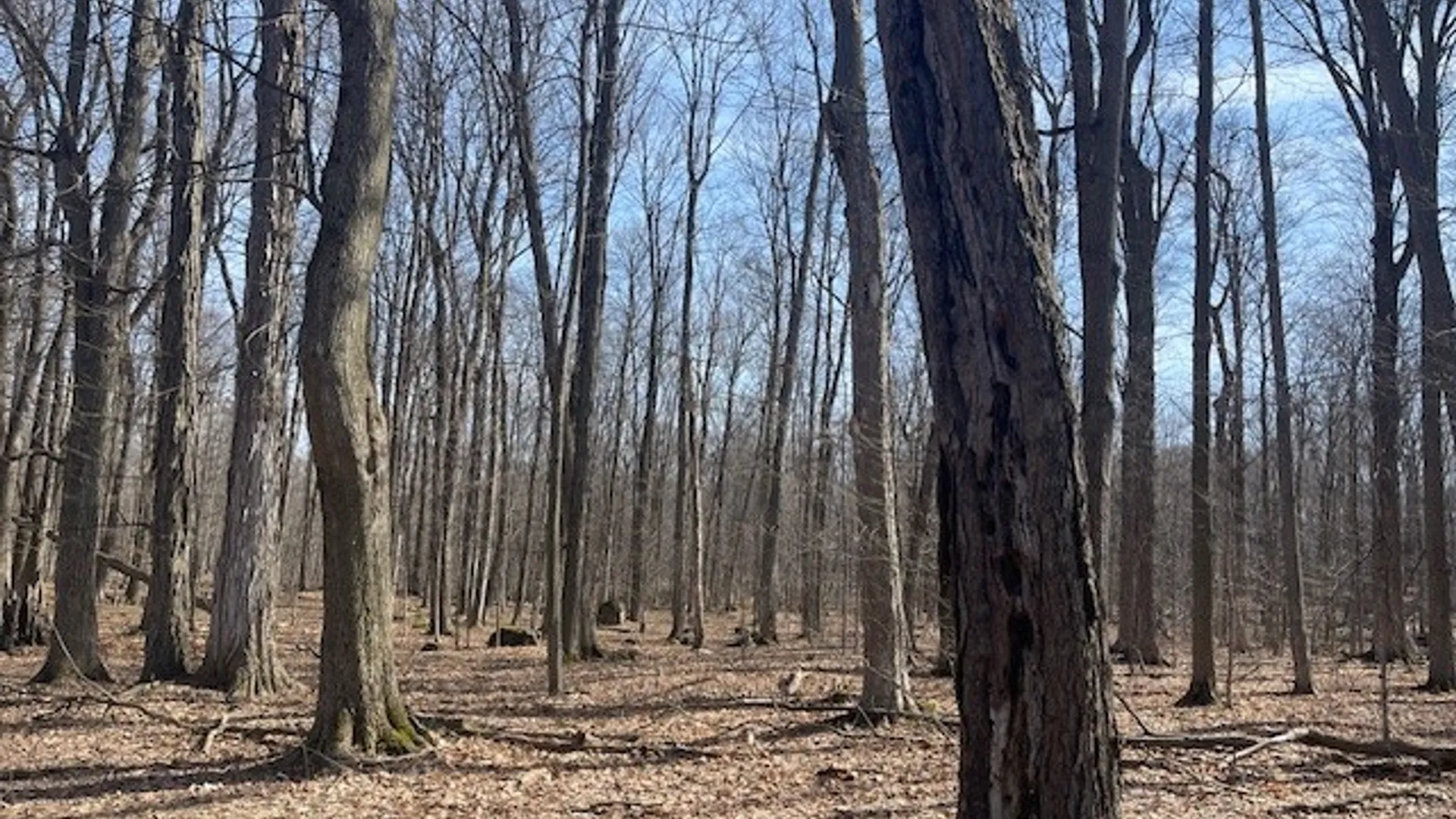 Property at Harris Road, Onondaga, NY 13031 9