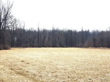 Property at VL Dale Rd. Dale Road, Royalton, NY 14067