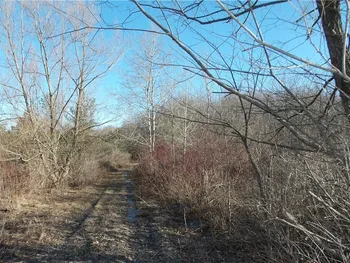 Property at Shirley Road, North Collins, NY 14111