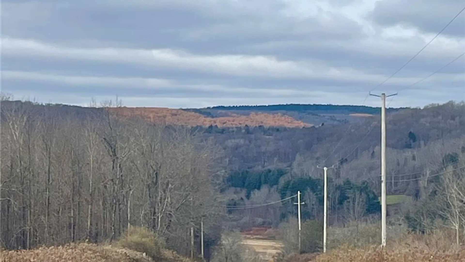 Property at 0 County Road 42, Pharsalia, NY 13155 11