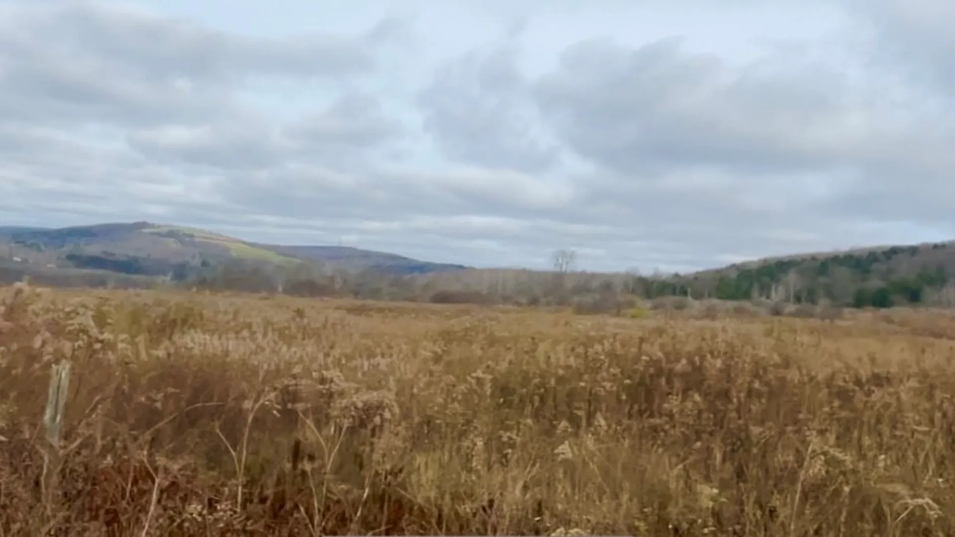 Property at 0 County Road 42, Pharsalia, NY 13155 3