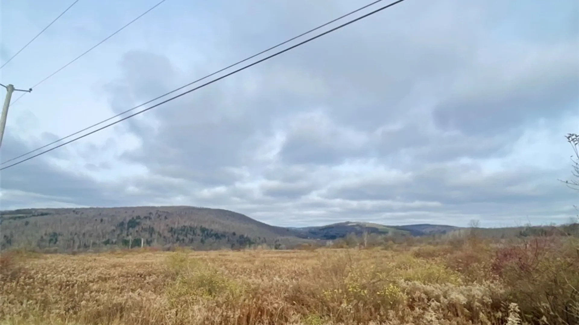Property at 0 County Road 42, Pharsalia, NY 13155 6