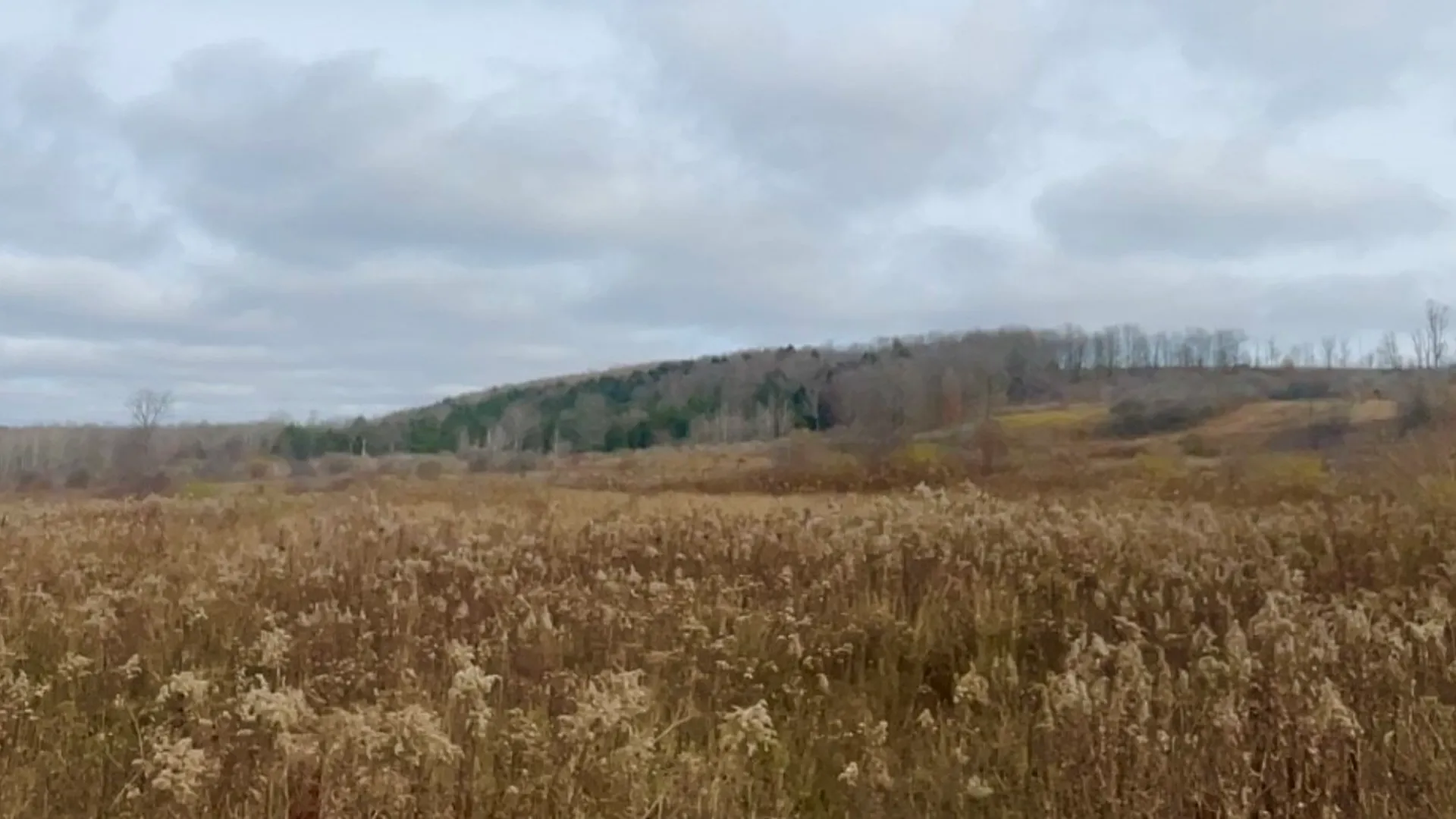 Property at 0 County Road 42, Pharsalia, NY 13155 8