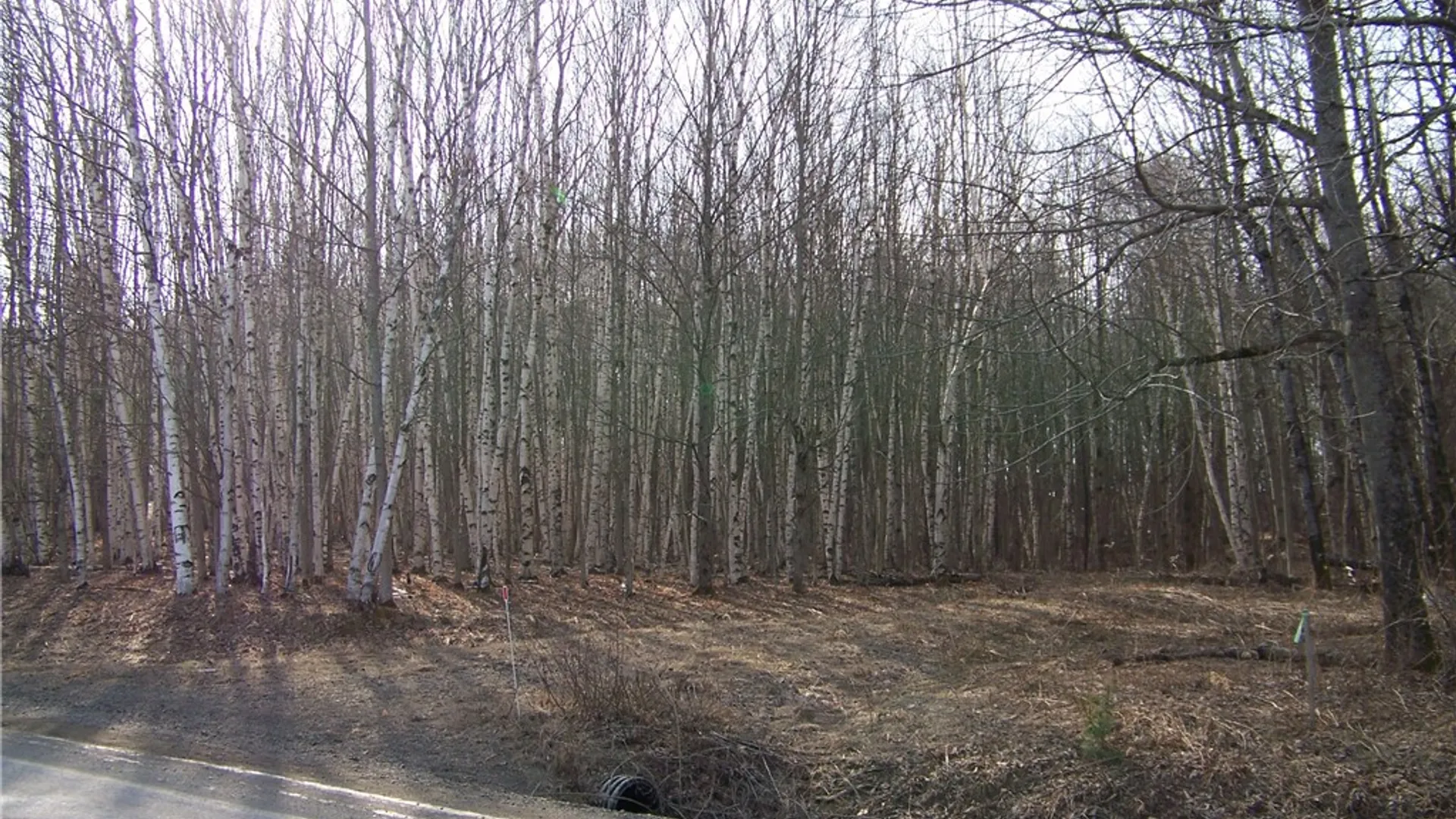 Property at 191 West Extension, Laurens, NY 13820 10