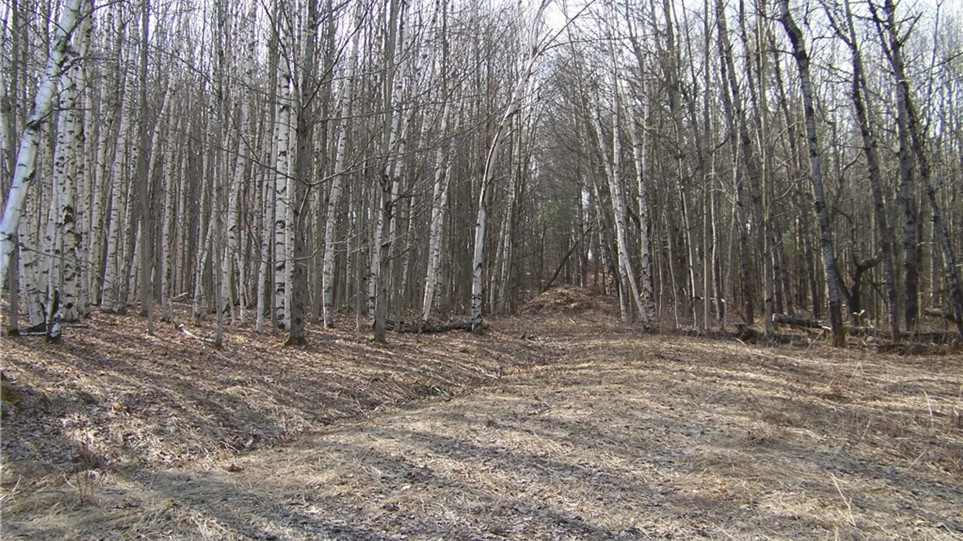 Property at 191 West Extension, Laurens, NY 13820 3