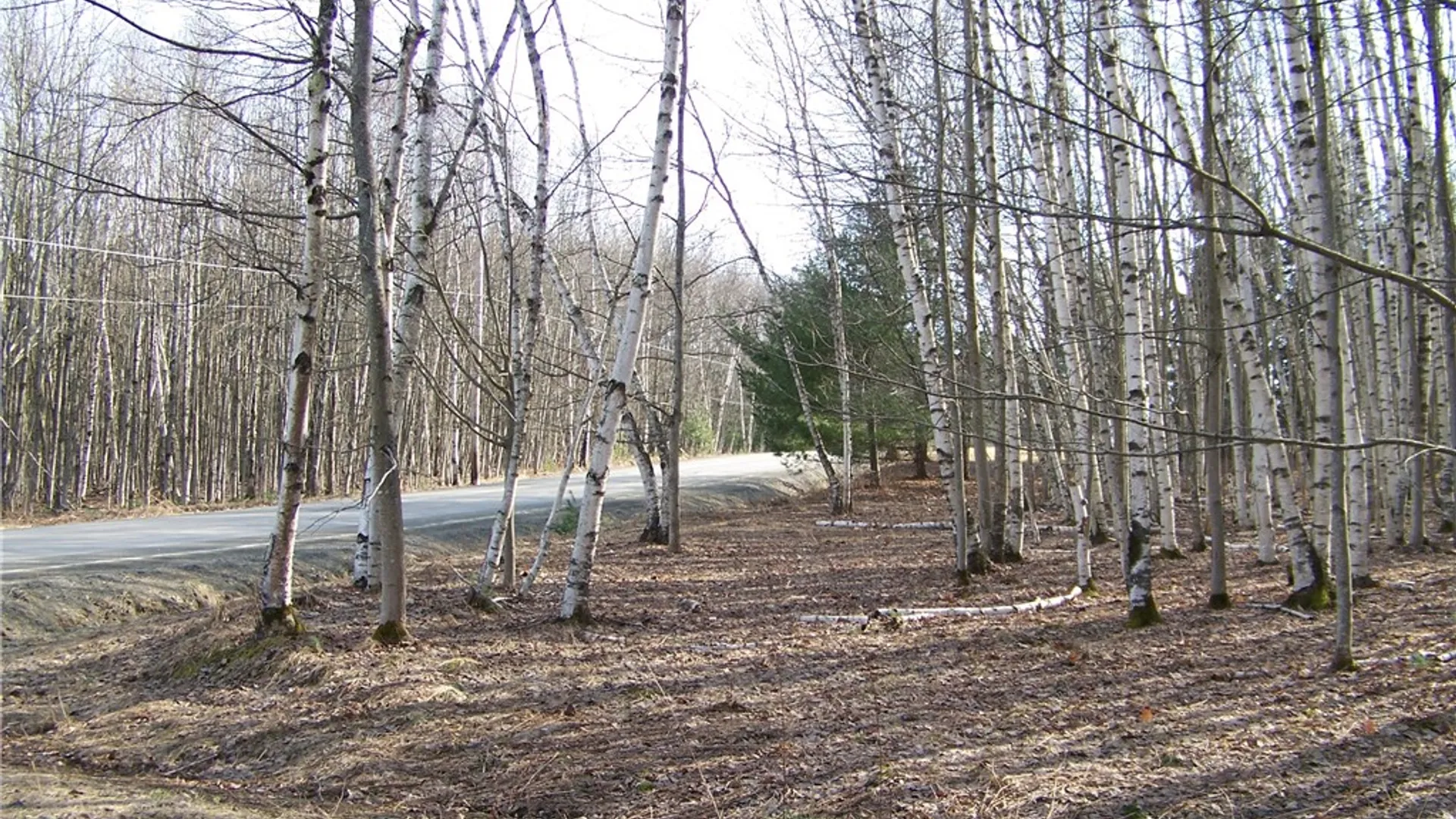 Property at 191 West Extension, Laurens, NY 13820 5