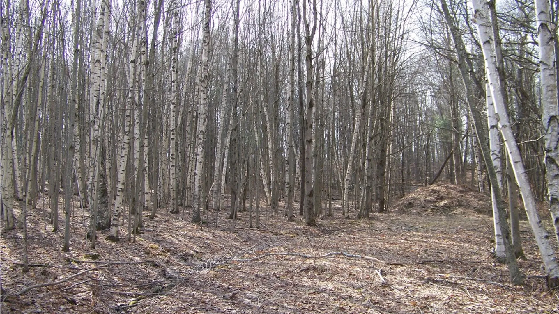 Property at 191 West Extension, Laurens, NY 13820 7