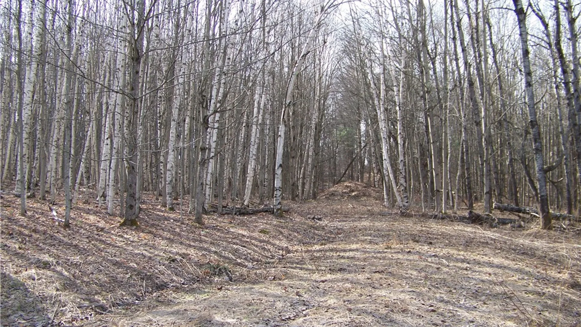 Property at 191 West Extension, Laurens, NY 13820 9