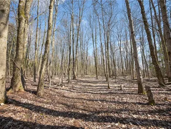 Property at L11.6B Rossman Valley Road, Summit, NY 12175