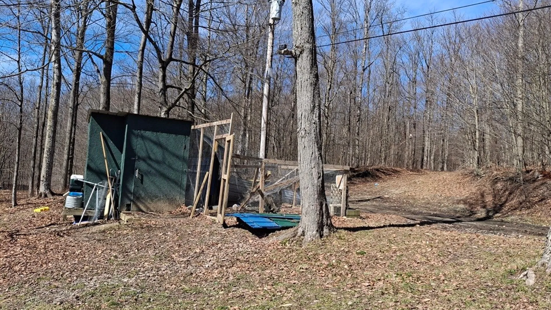 Property at 6098 Shady Lane, Lyndon, NY 14737 14