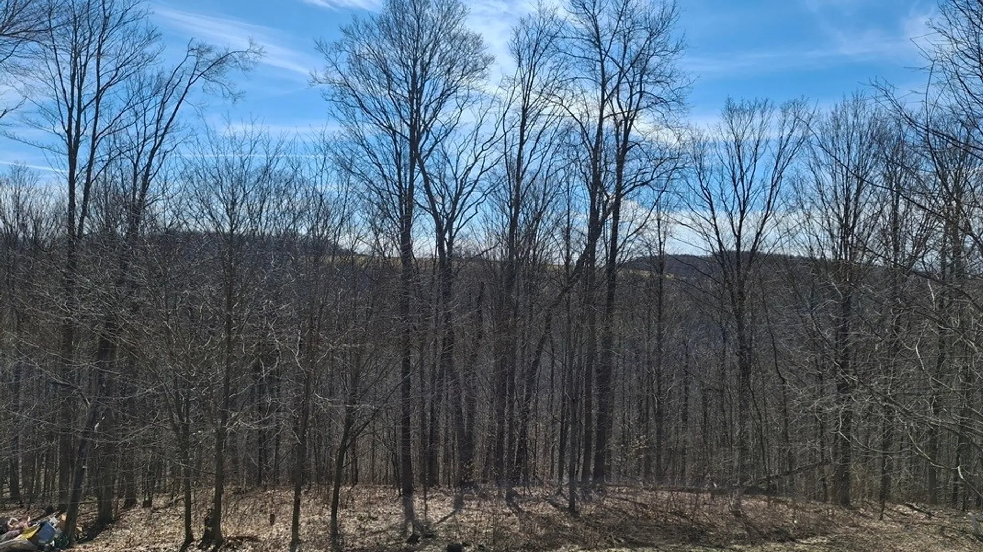 Property at 6098 Shady Lane, Lyndon, NY 14737 17