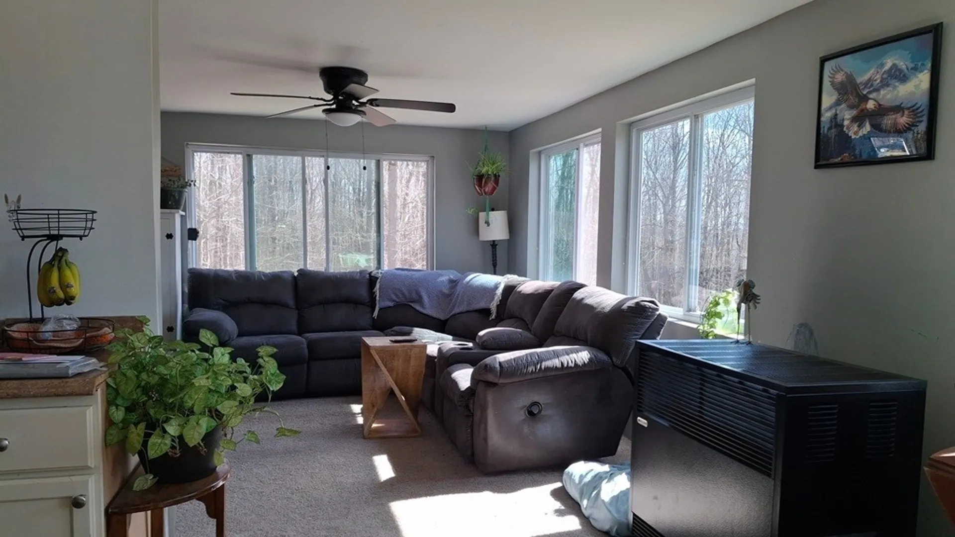 Property at 6098 Shady Lane, Lyndon, NY 14737 2