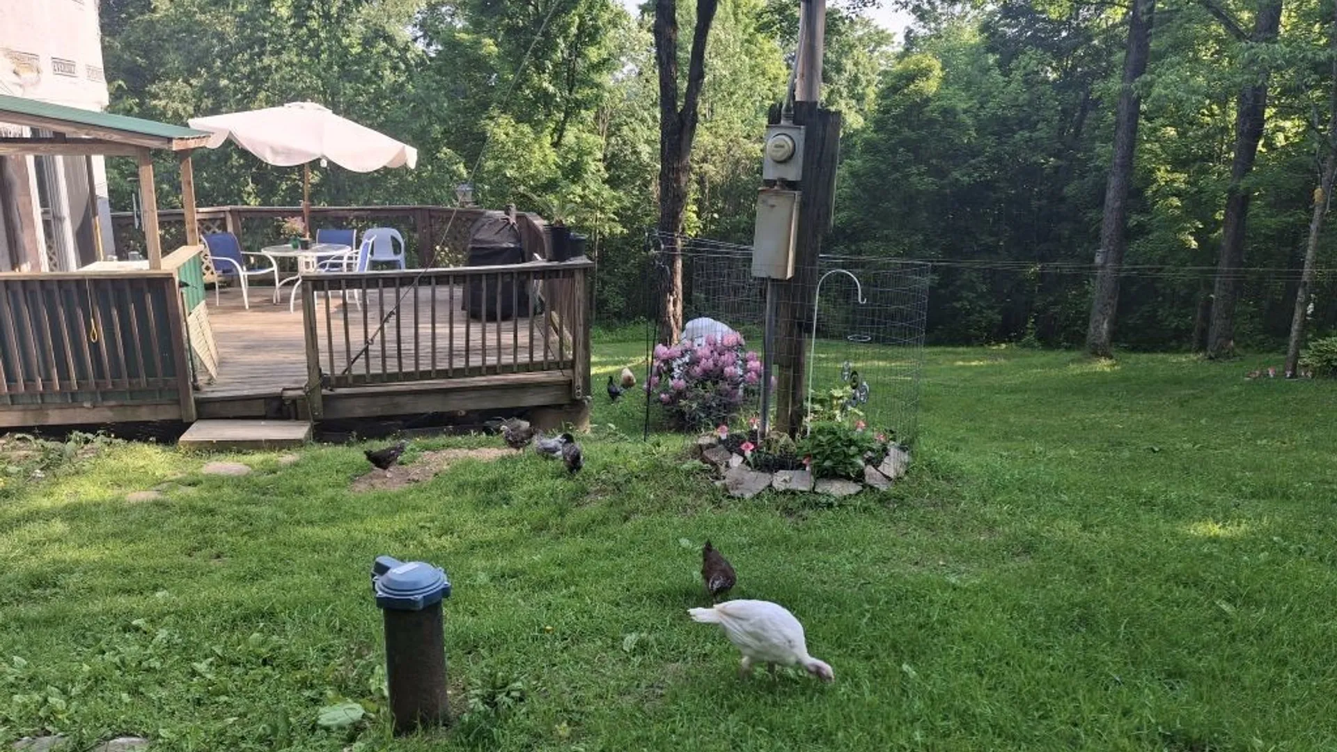 Property at 6098 Shady Lane, Lyndon, NY 14737 21