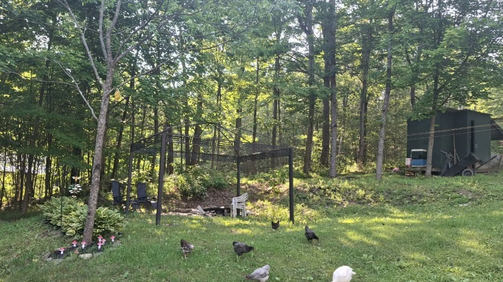 Property at 6098 Shady Lane, Lyndon, NY 14737 22