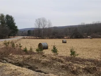 Property at 8372 Rush Creek Road, Rushford, NY 14717
