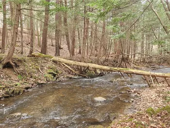 Property at Caton Road, Caton, NY 14830