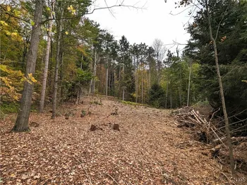 Property at 00 State Route 414, Hornby, NY 14830