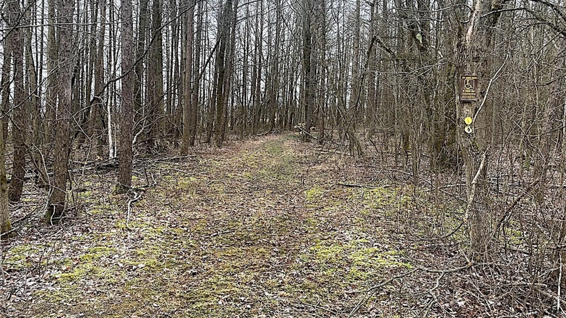 Property at 7523 Miller Road, West Almond, NY 14804 16