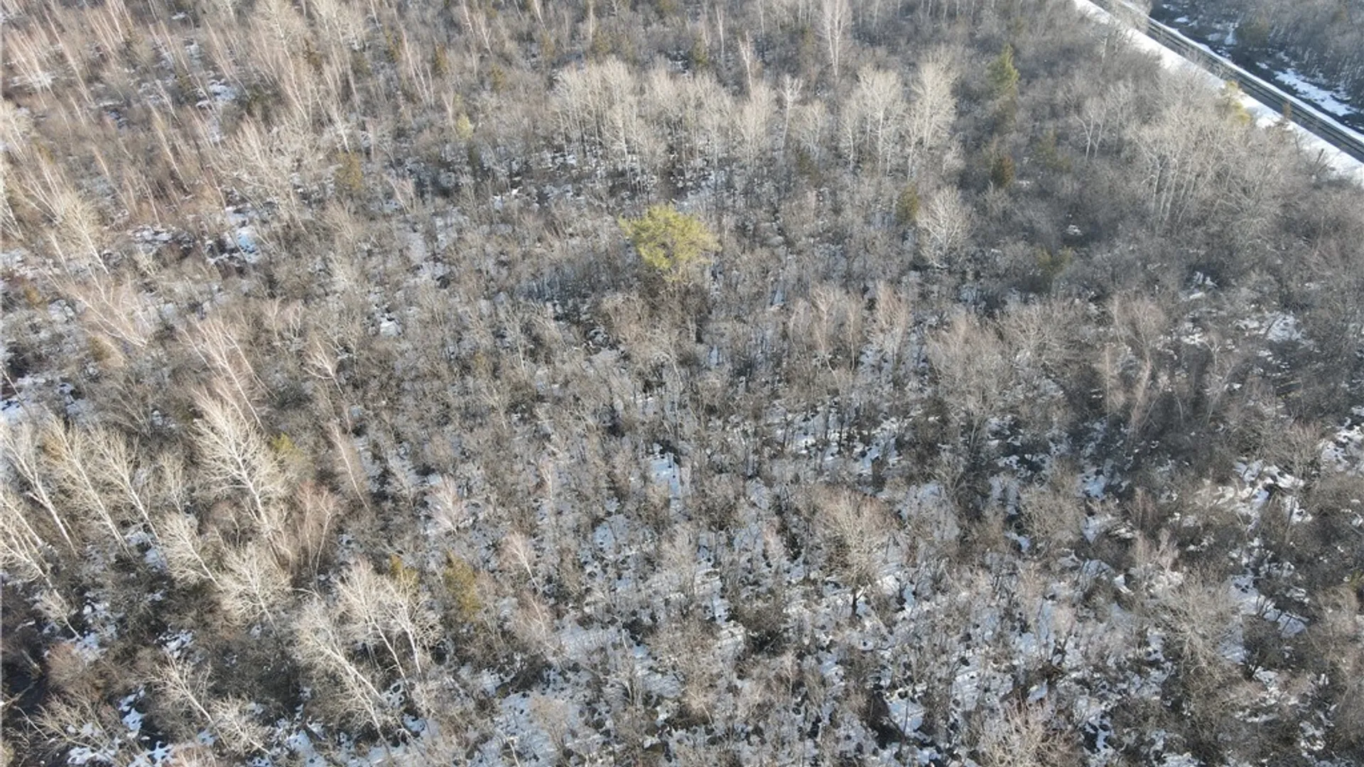 Property at Co Rte 91, Ellisburg, NY 13636 13