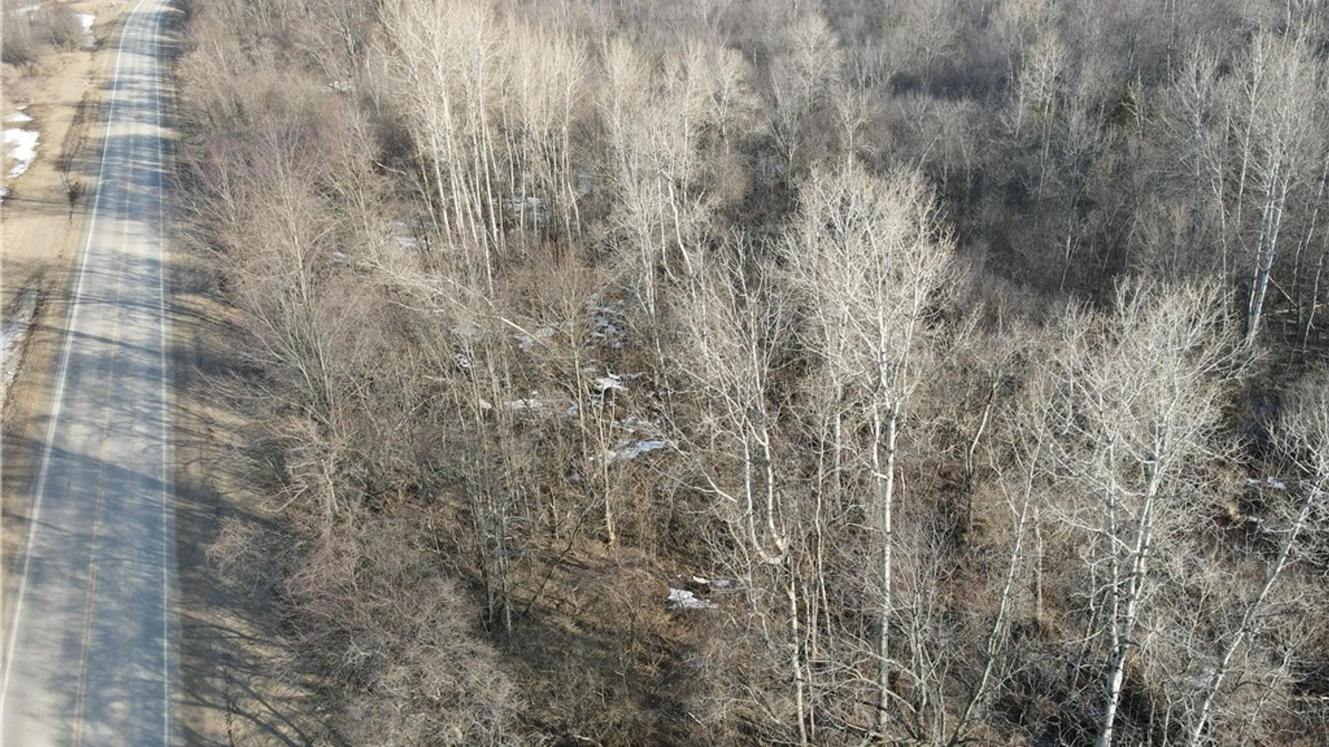 Property at Co Rte 91, Ellisburg, NY 13636 18