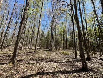 Property at Cedar Street, Watson, NY 13367