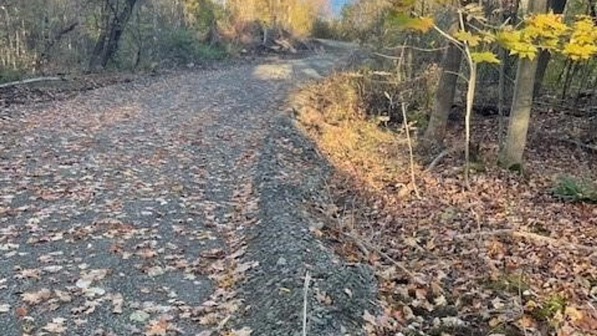 Property at 2612 Lake Road, North Harmony, NY 14710 11