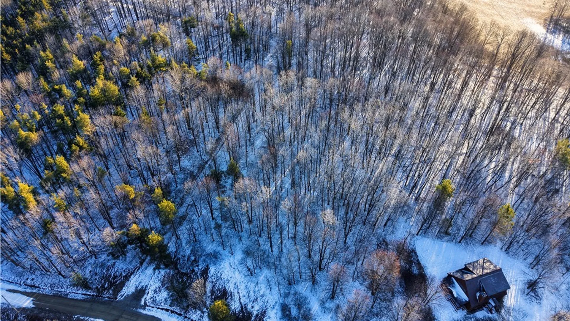 Property at 10 & 11 Creek Ridge Road, Ellicottville, NY 14731 10