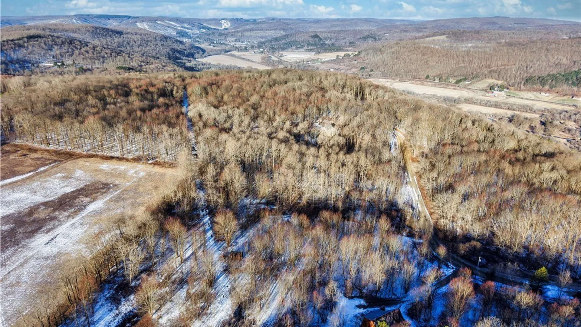 Property at 10 & 11 Creek Ridge Road, Ellicottville, NY 14731 12