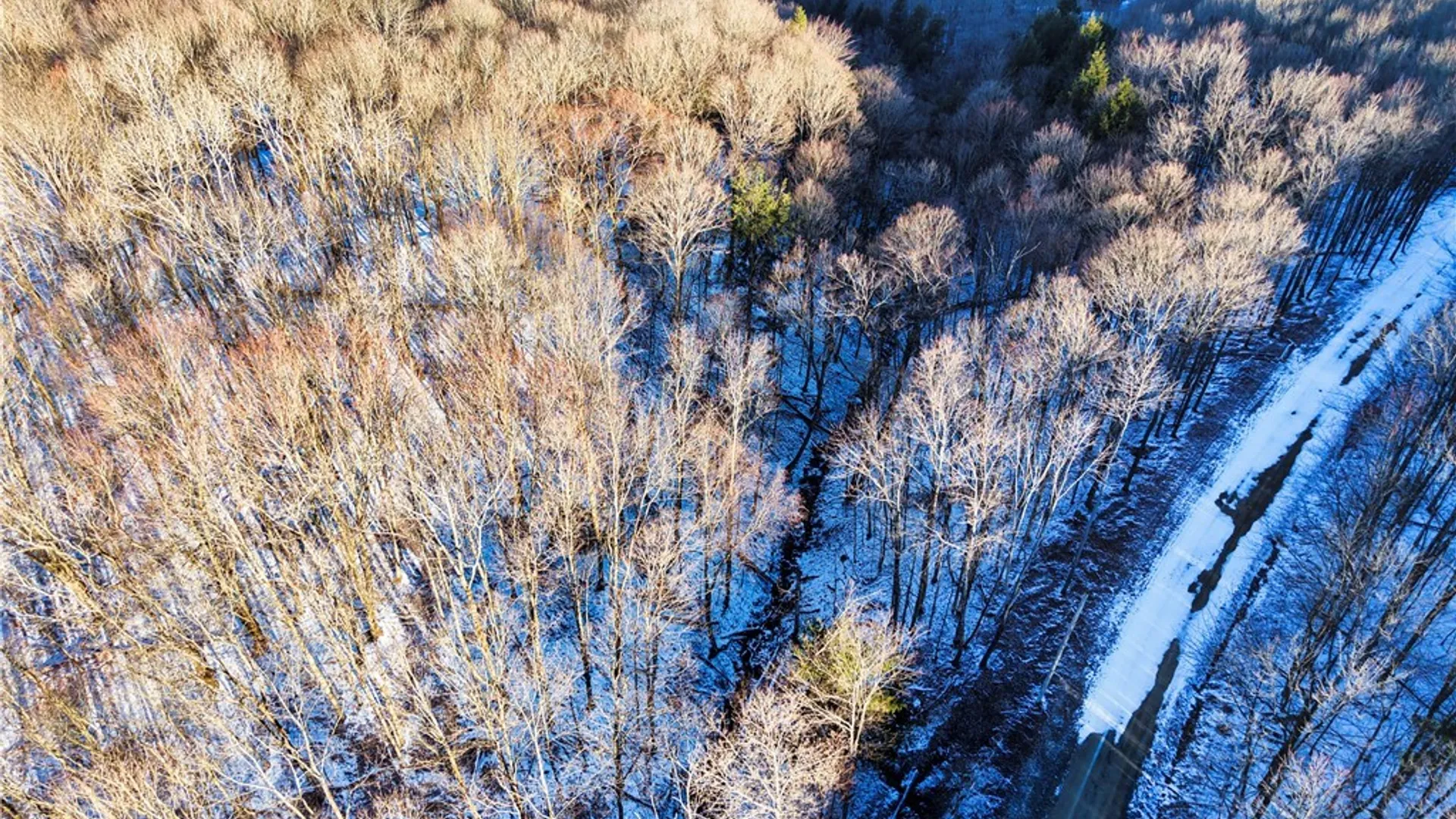 Property at 10 & 11 Creek Ridge Road, Ellicottville, NY 14731 13