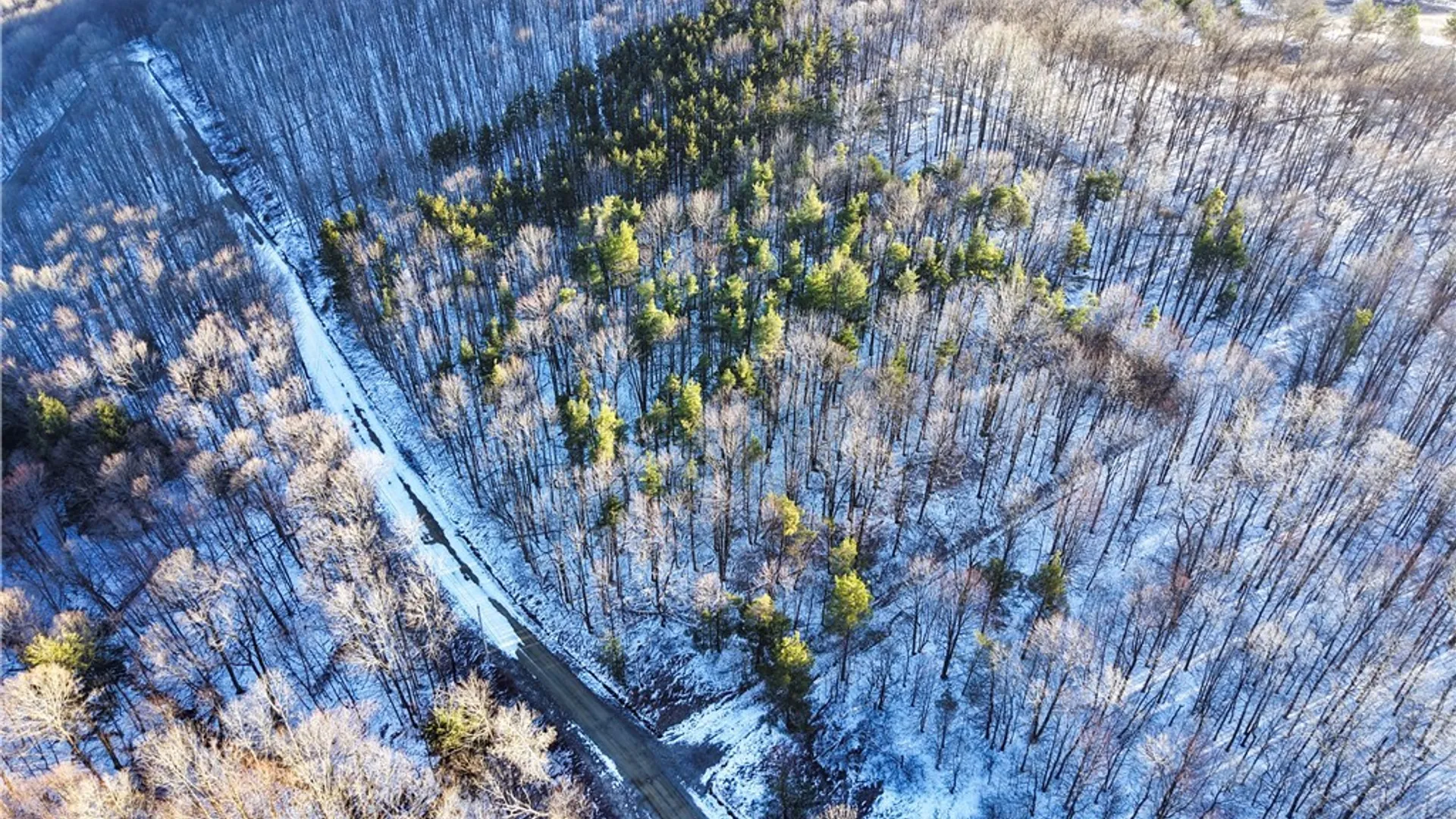 Property at 10 & 11 Creek Ridge Road, Ellicottville, NY 14731 15